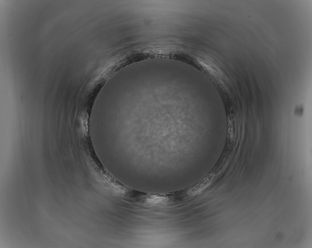 X0000090910718200707301434