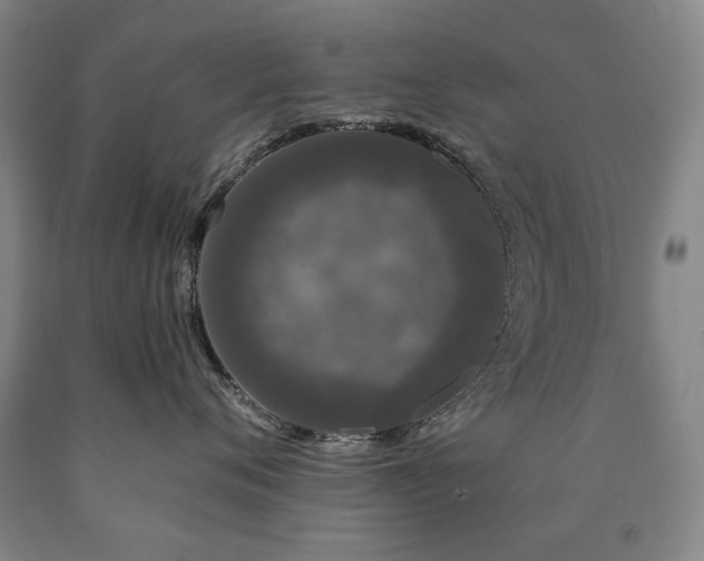 X0000090910720200707301434