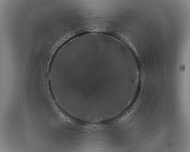 X0000090910721200707301433