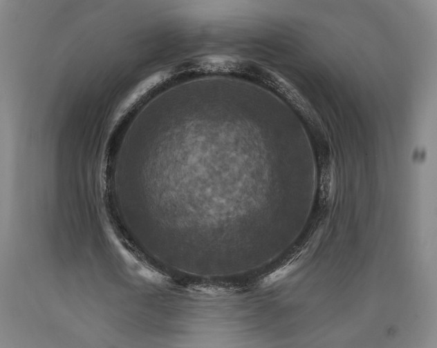 X0000090910722200707301433