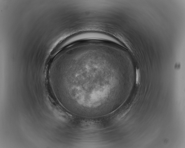 X0000090910723200707301433