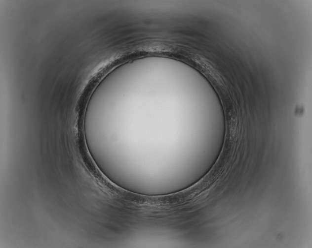 X0000090910727200707301433