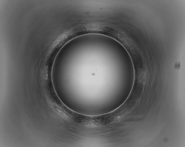 X0000090910731200707301433