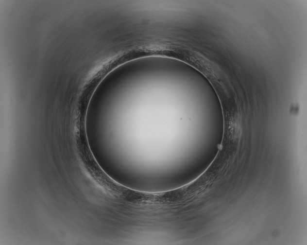 X0000090910732200707301433