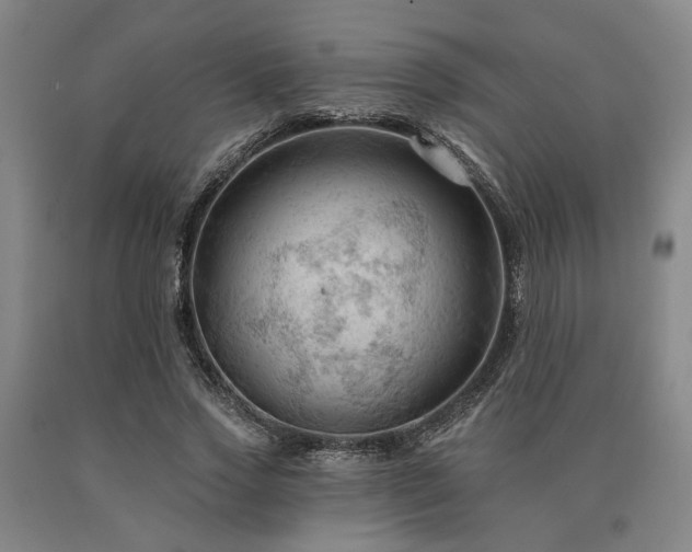 X0000090910733200707301433