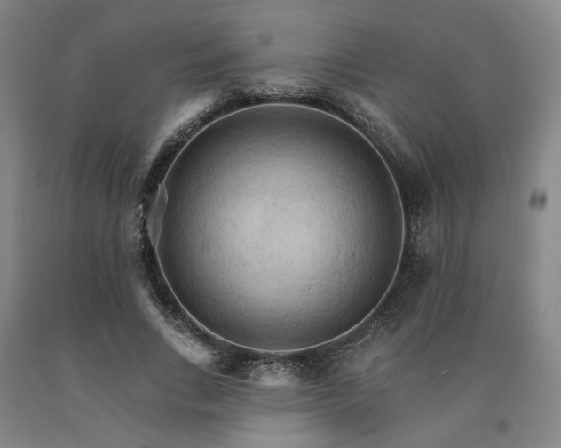 X0000090910735200707301434