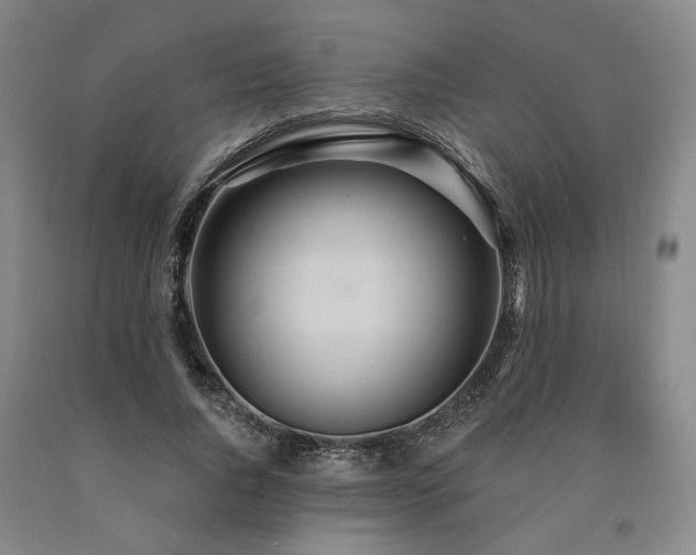 X0000090910736200707301434