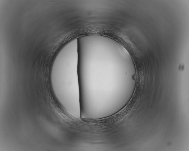 X0000090910737200707301434