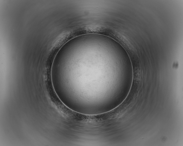 X0000090910738200707301434