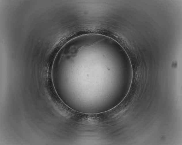 X0000090910739200707301434