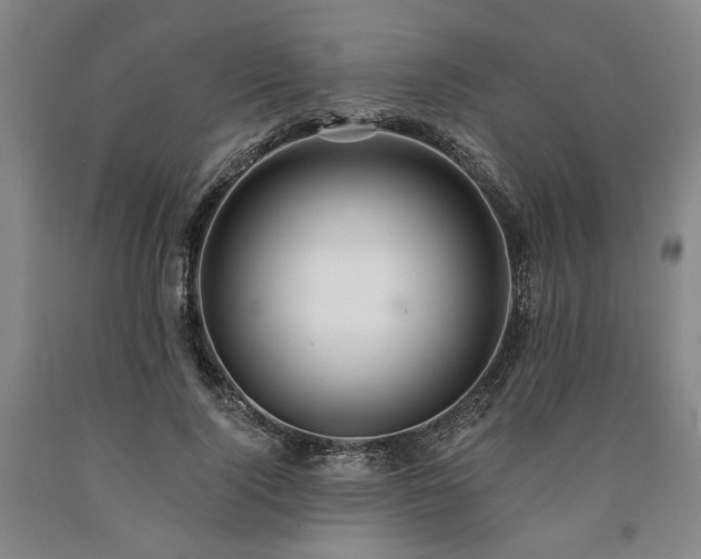 X0000090910740200707301434