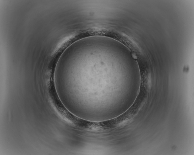 X0000090910742200707301434