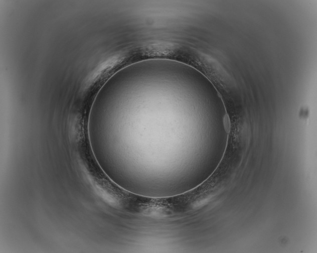 X0000090910743200707301434