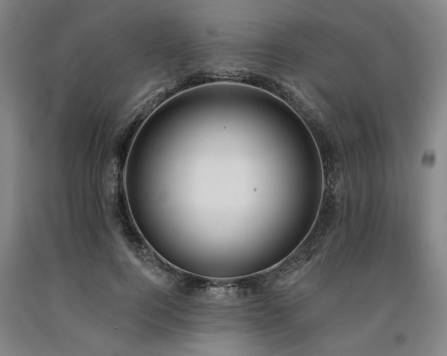 X0000090910744200707301434