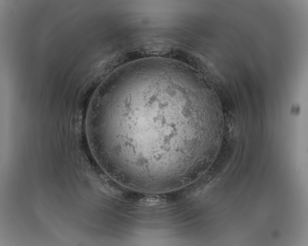 X0000090910745200707301434