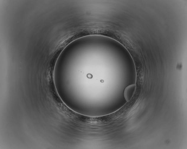 X0000090910746200707301434