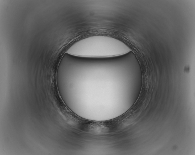 X0000090910747200707301434