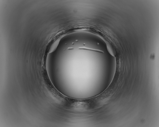 X0000090910748200707301434