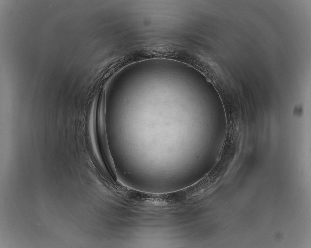 X0000090910749200707301434