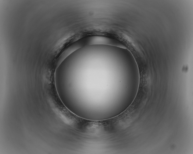 X0000090910750200707301434