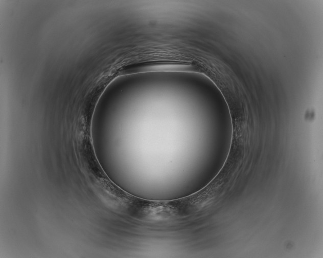 X0000090910752200707301434