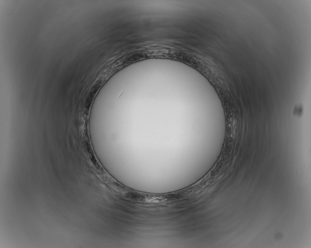 X0000090910753200707301434