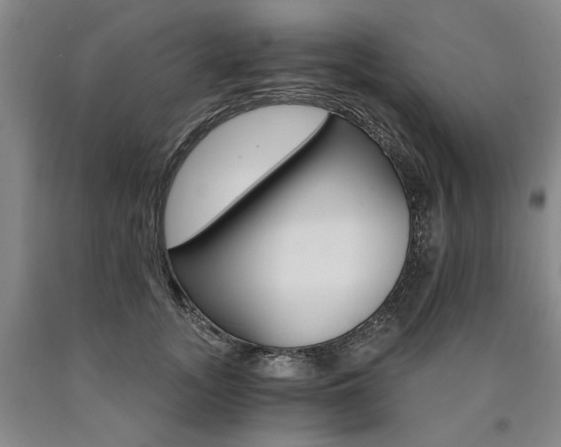 X0000090910755200707301434