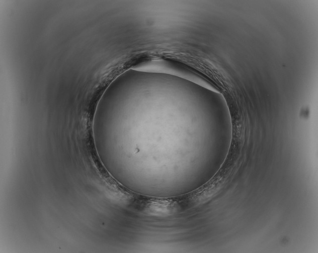 X0000090910757200707301434