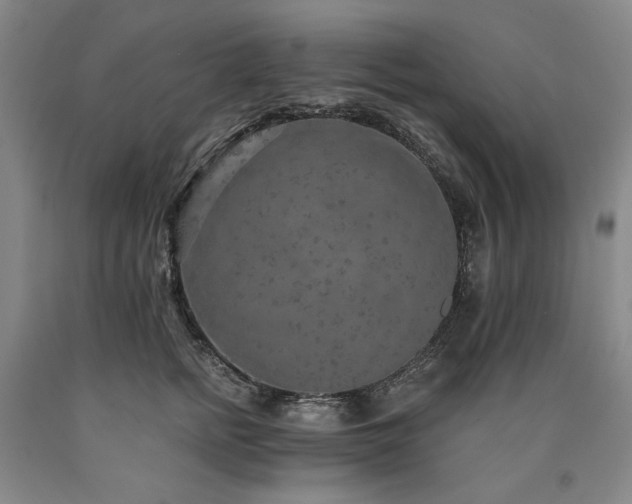 X0000090910758200707301434