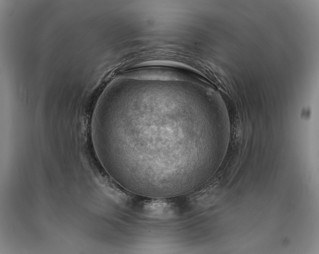 X0000090910759200707301434