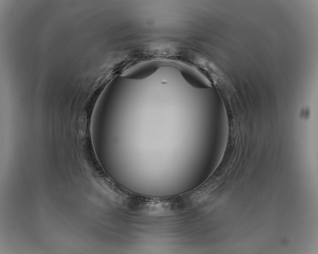 X0000090910760200707301434