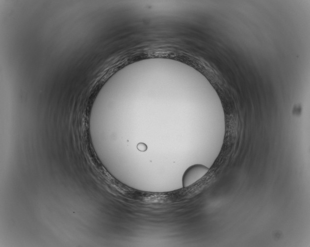 X0000090910761200707301434