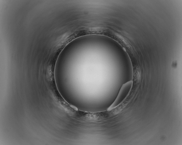 X0000090910764200707301434