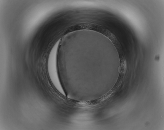 X0000090910765200707301434