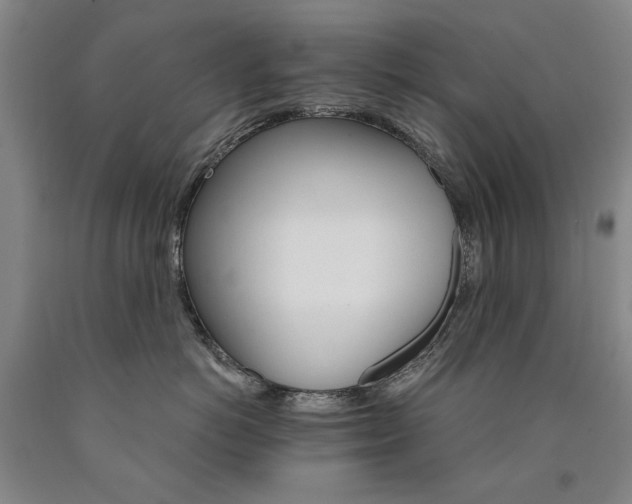 X0000090910766200707301434