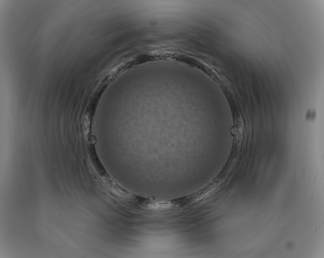 X0000090910767200707301434