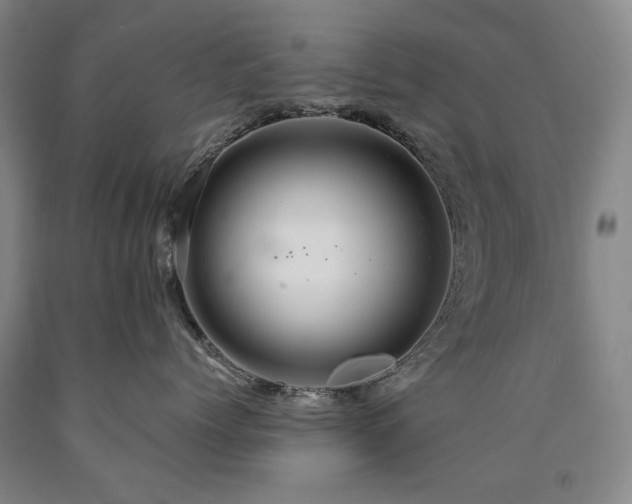 X0000090910768200707301434