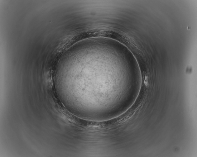 X0000090910771200707301433