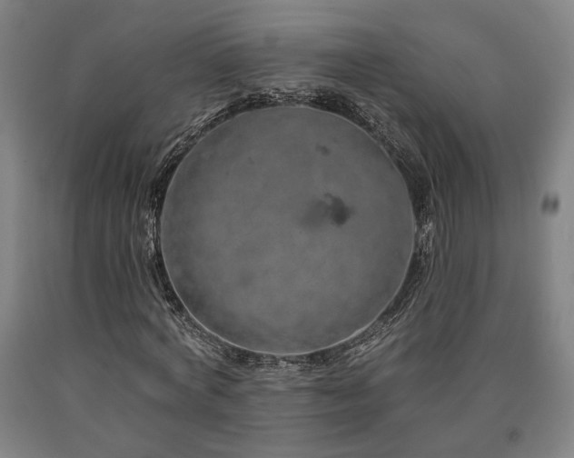 X0000090910772200707301433