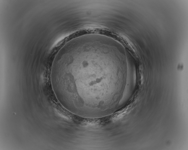 X0000090910775200707301433