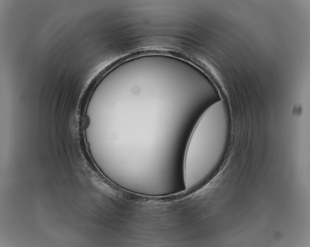 X0000090910779200707301433