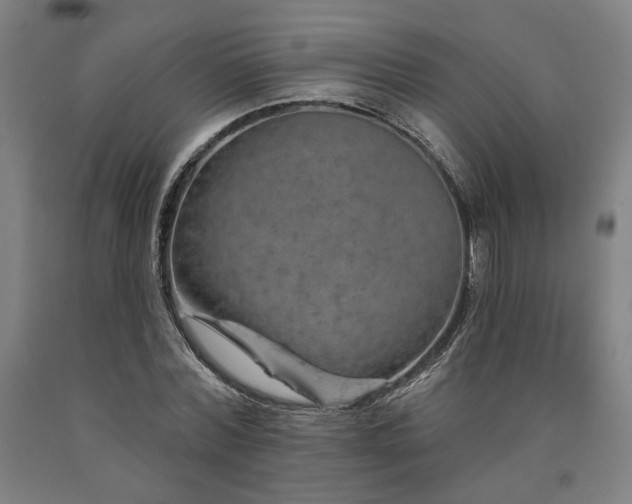 X0000090910780200707301433