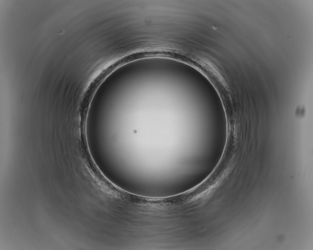 X0000090910781200707301433