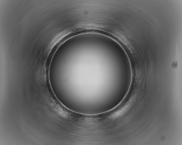 X0000090910782200707301433