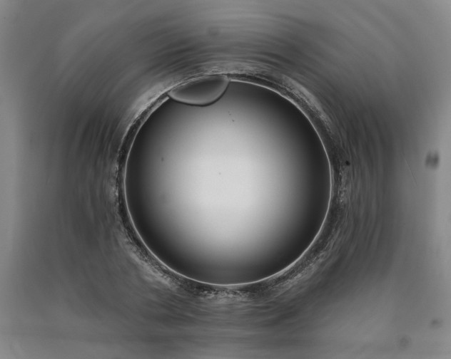 X0000090910786200707301433