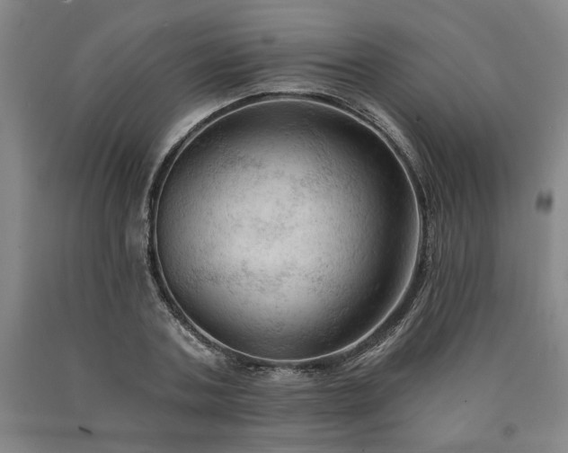 X0000090910787200707301433