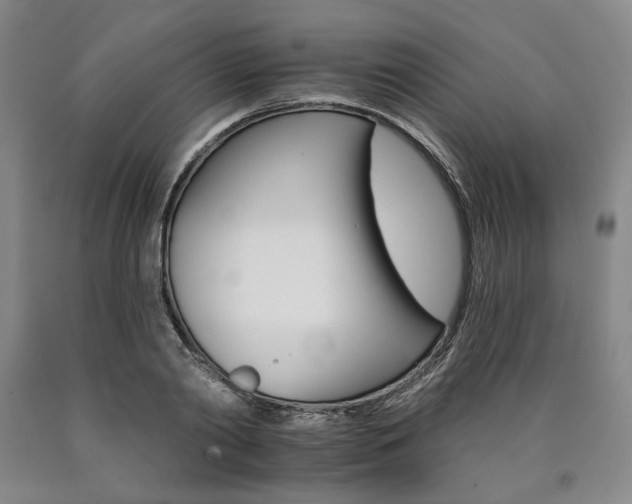 X0000090910790200707301433