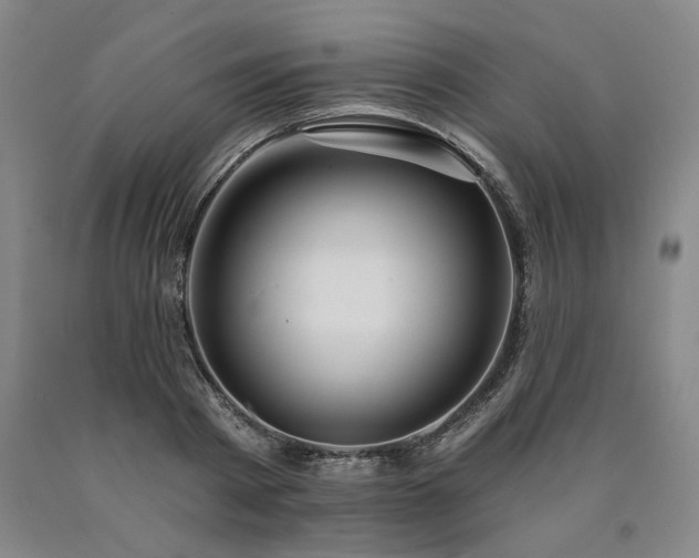 X0000090910793200707301433