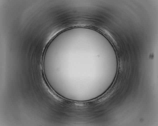 X0000090910794200707301433