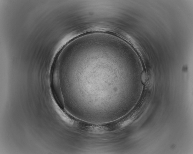 X0000090910795200707301433